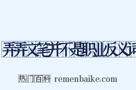 弄弄文笔并不是职业反义词是什么意思的图片